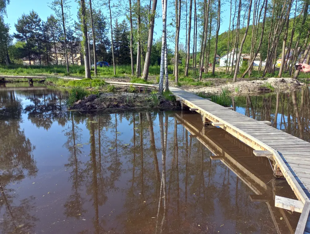 Construction of a system of 5 pools supplemented by wooden walkways on stilts and paths made of oak treads.